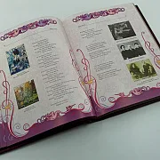Книга "Серебряный Век Русской поэзии " — необычный подарок — фотография 3